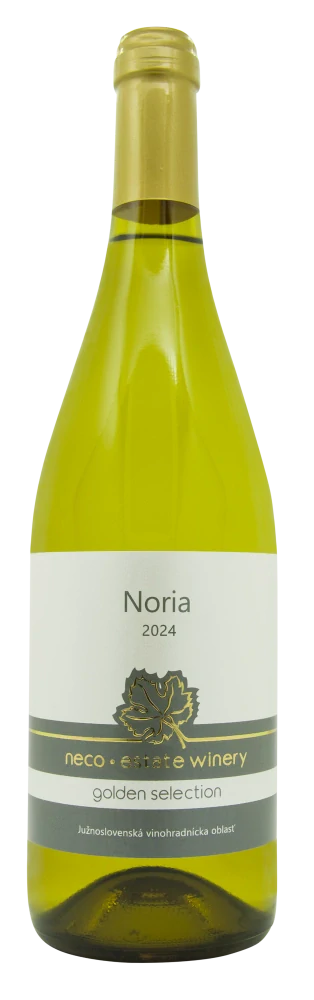 Noria